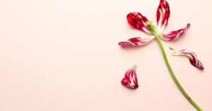 Wellness Balance You Blog Image - Libido